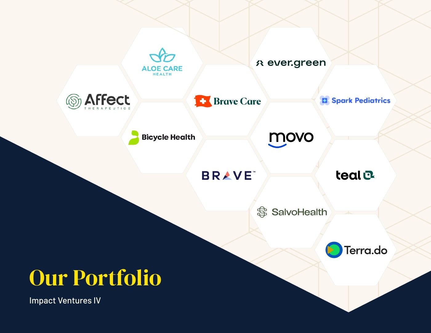 Our Portfolio section opener with a hexagon grid of company logos
